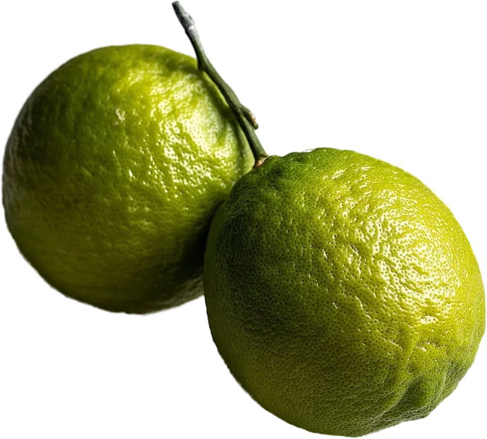 Bergamot