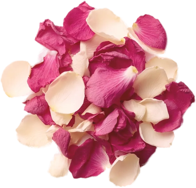 Rose de Mai