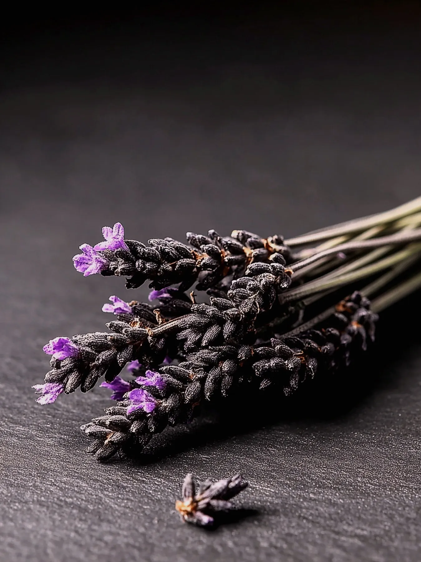 A bundle of lavender resting on dark slate